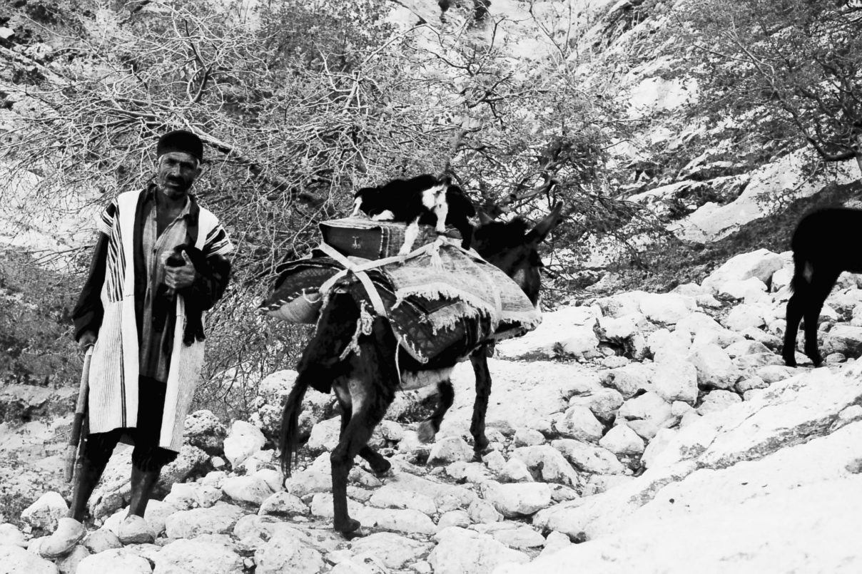 a man and a mule laden with belongings