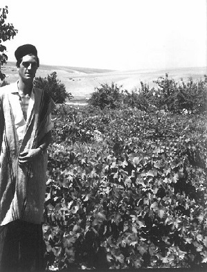 David Brooks in a vineyard